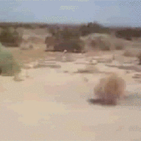 This was *Care* in April 2022